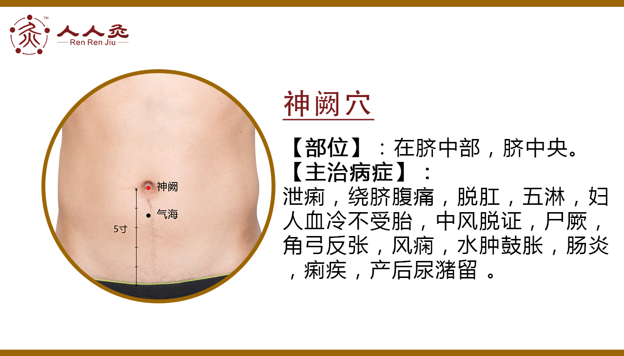 神阙穴.jpg