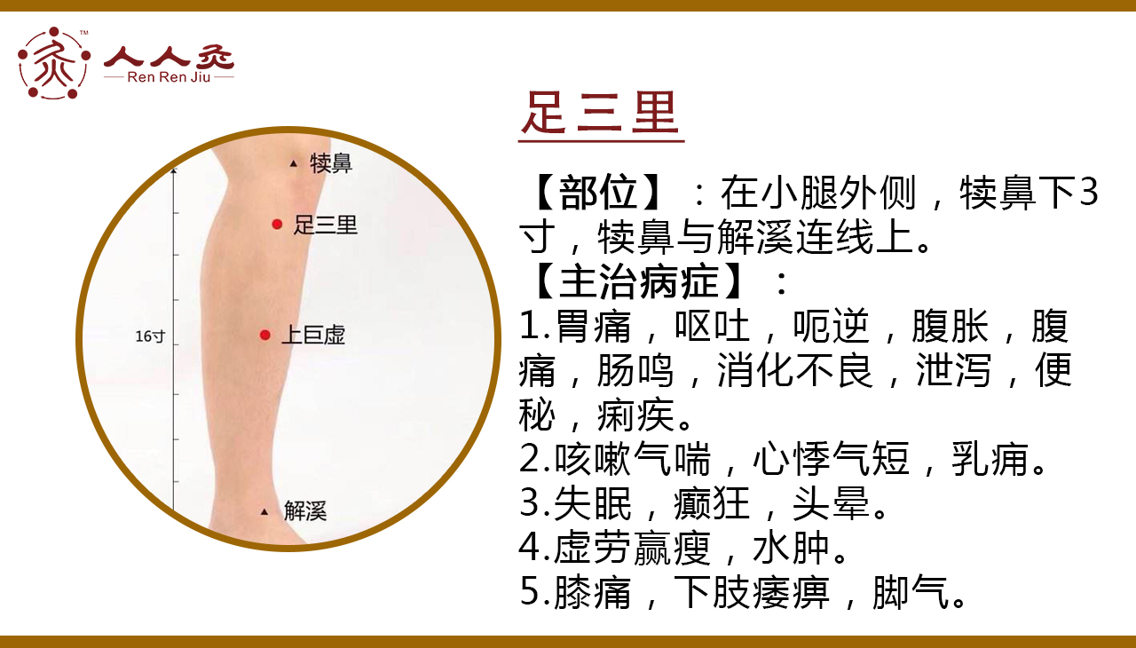 足三里.jpg