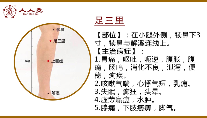 足三里.jpg